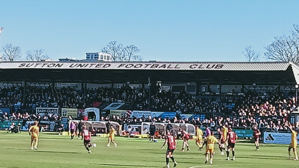 The Simon Cheetham. tweet media