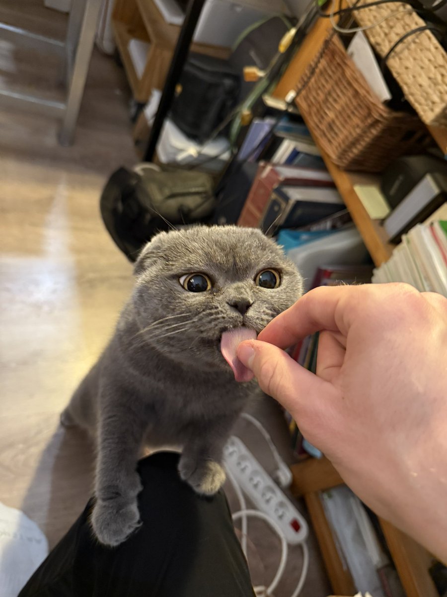 Peo 🪐 tweet media