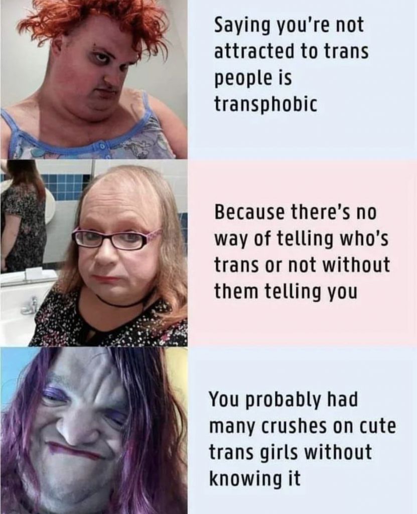 Dusty Shorts tweet media