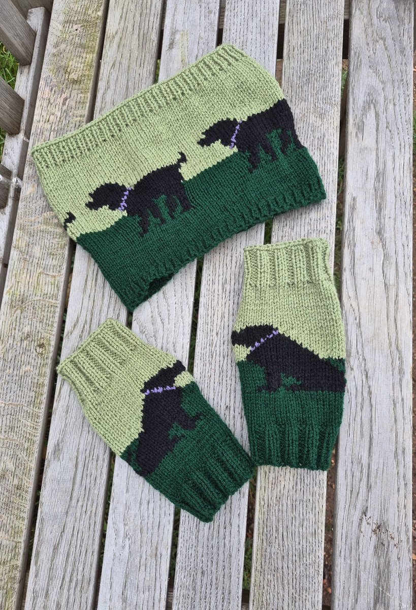 The Yorkshire Grey Sheep tweet media