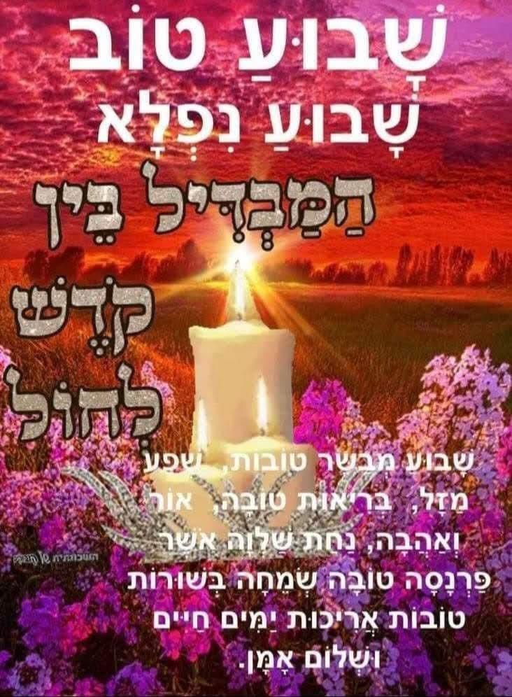 מומי ברכה tweet media