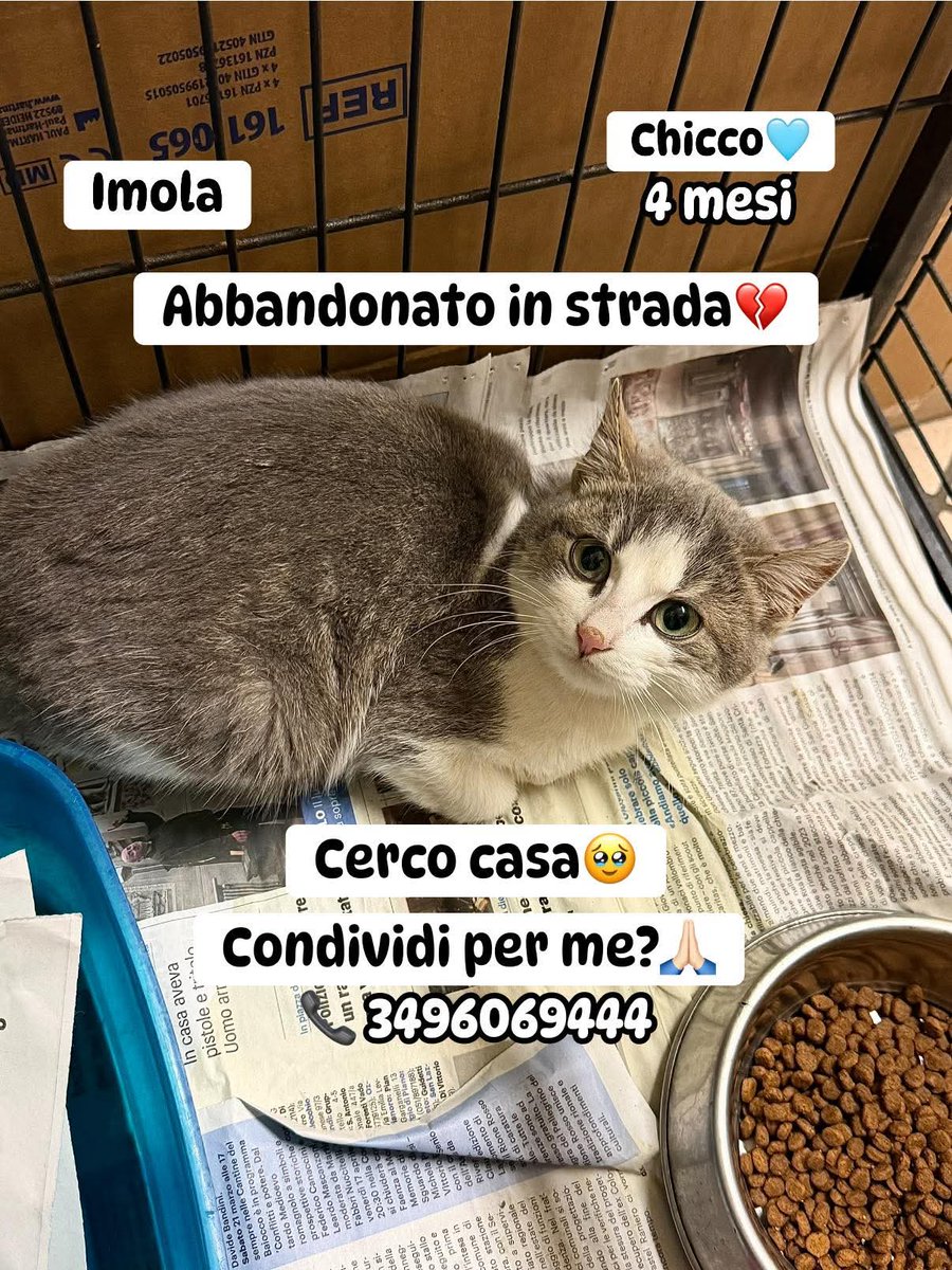 giuseppe esposito tweet media