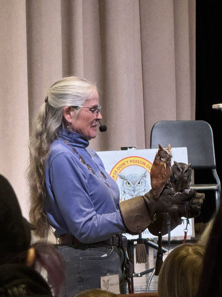 assistant_ace's tweet photo. Shoutout Mike and Marcia for the owl education https://t.co/yvVDV3xSRG