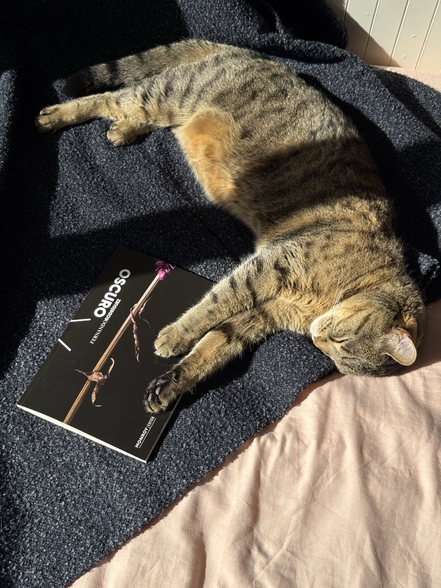 Monroy Editor tweet media