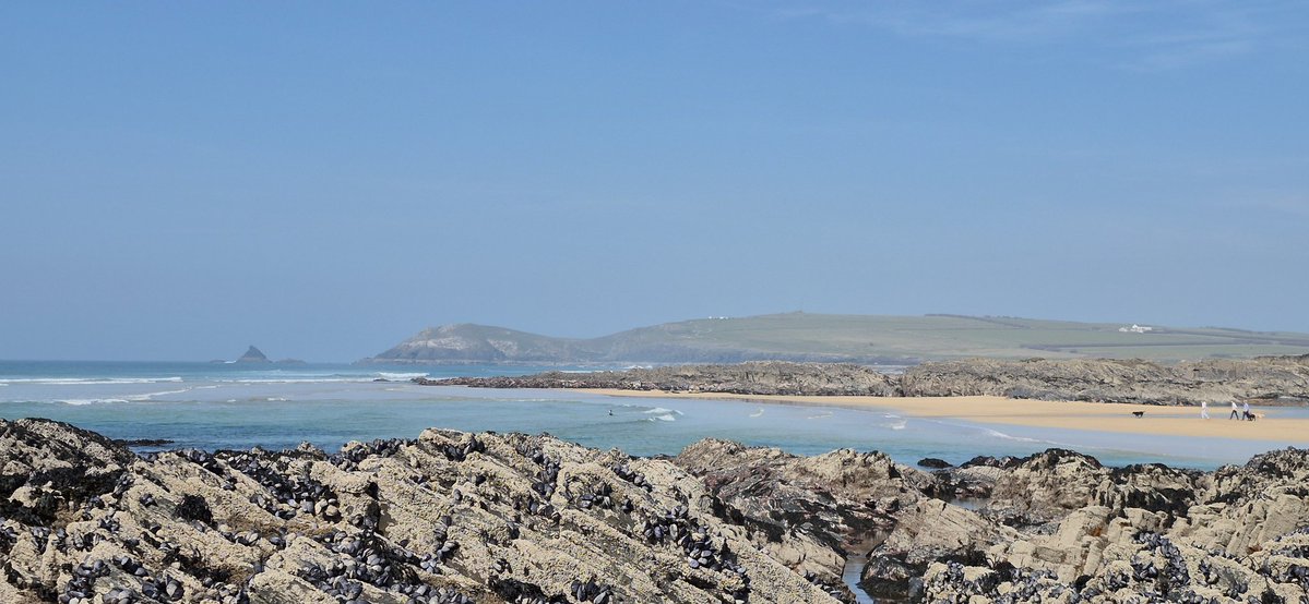 #GoRacingGreen Official (Debbie Matthews) tweet media