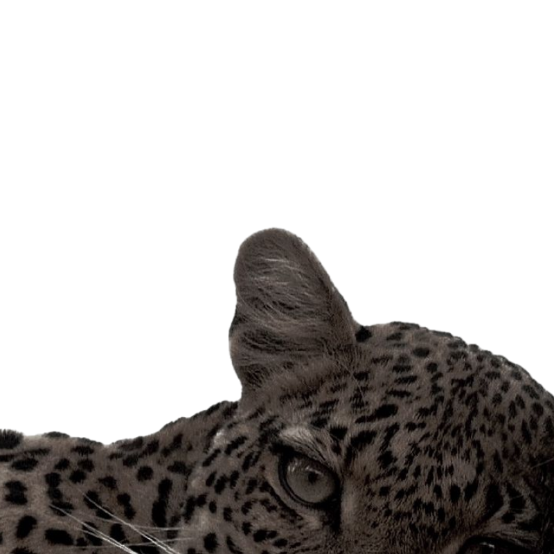 ᅠᅠ ▊ ▍ ᅠᅠ𒄬ᅠᅠ 𝓖𝙾𝙳┉┈𝐂𝙾𝙼𝙿𝙻𝒆𝚇 tweet media