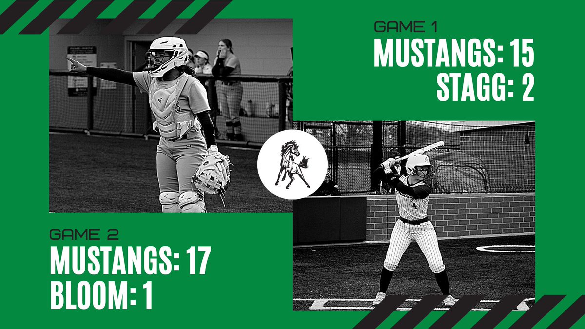 Evergreen Park HS Softball tweet media