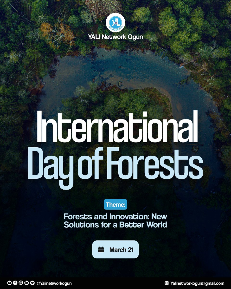 🌳 Happy International Day of Forests! 💙✨

Today, we celebrate the heartbeat of our planet, our forests. 

Let's champion innovation that ensures forests continue to thrive for generations to come.

#YALInetworknigeria #YALInetworkogun #YALIogun #InternationalDayOfForests