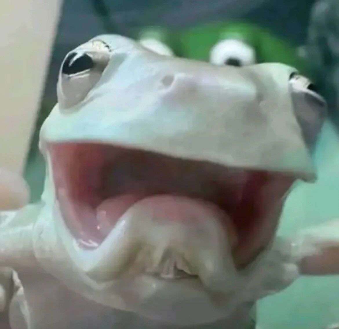 CodedKryptics tweet media