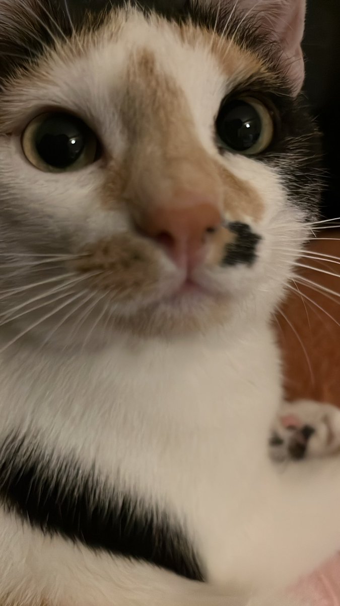 jeanne bg tweet media