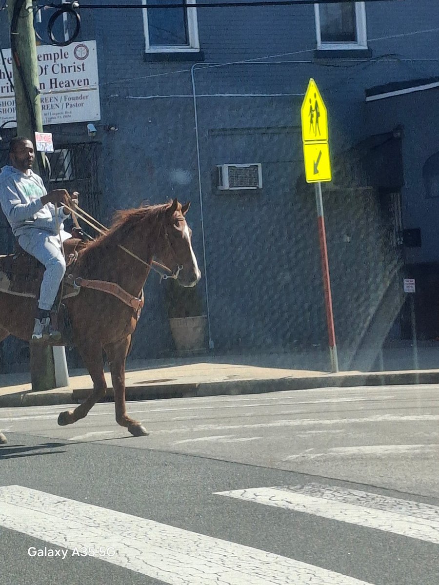 Seth Williams tweet media