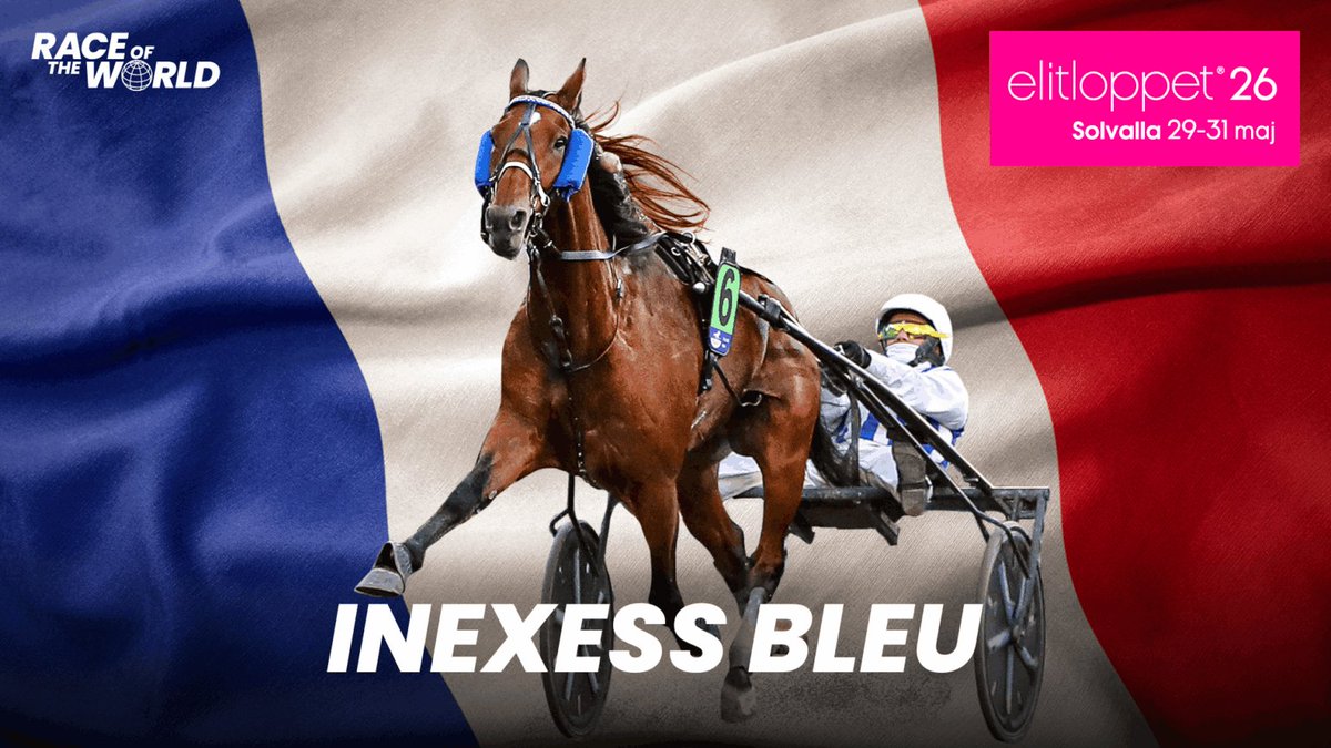 Zone-Turf.fr tweet media