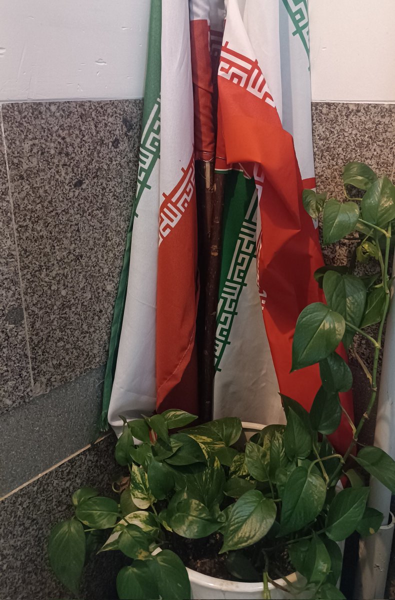 حدود ۲۰ روزی هست که توی روز اسلحه ما قرآن و دعاست
و درشب اسلحه ما علم به دوشی و پرچم ایران عزیز، کف خیابونا.
#لبیک_یا_خامنه_ای 
 #ایران_غیور