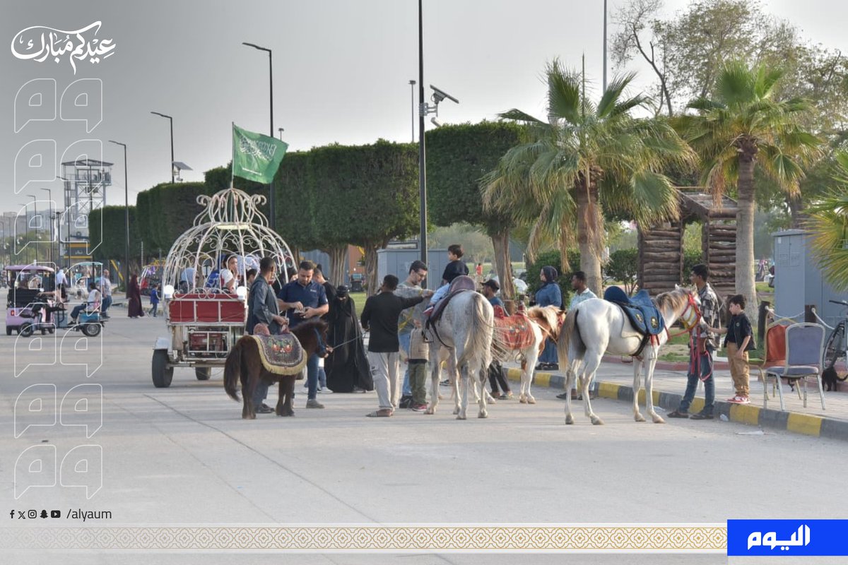 صحيفة اليوم tweet media