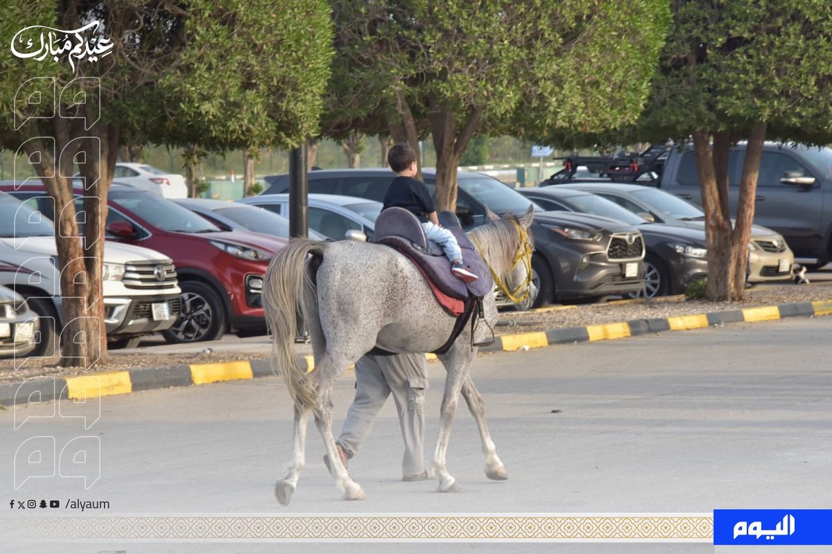 صحيفة اليوم tweet media