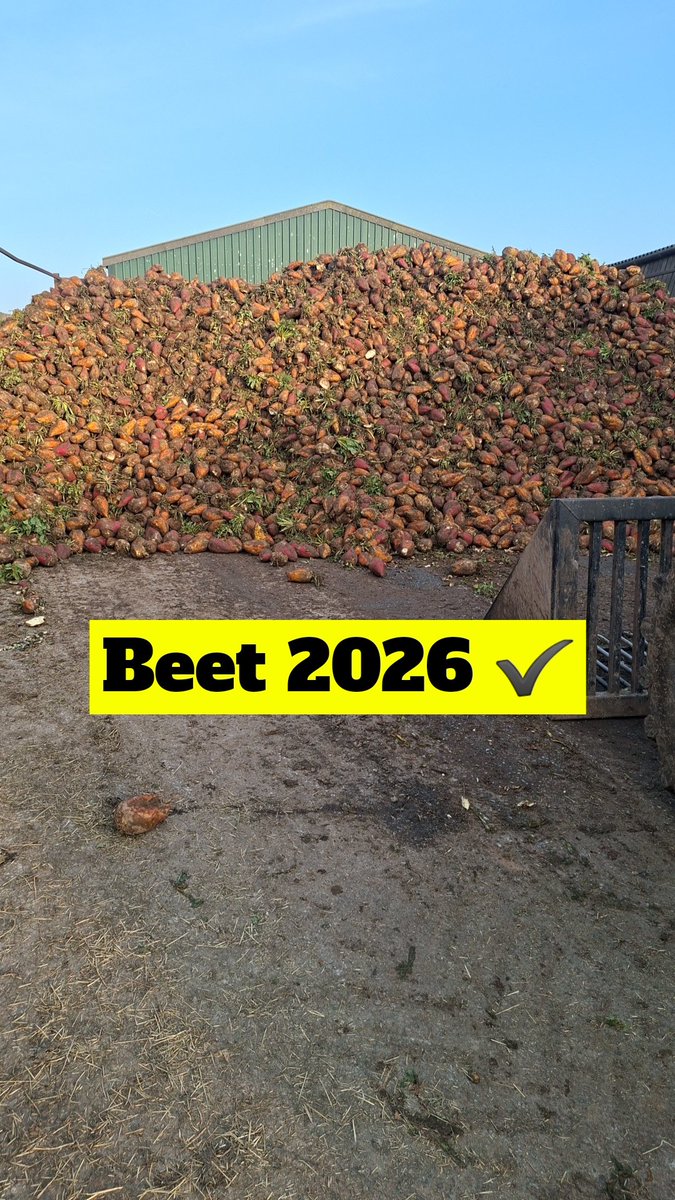 Mathew Roberts tweet media