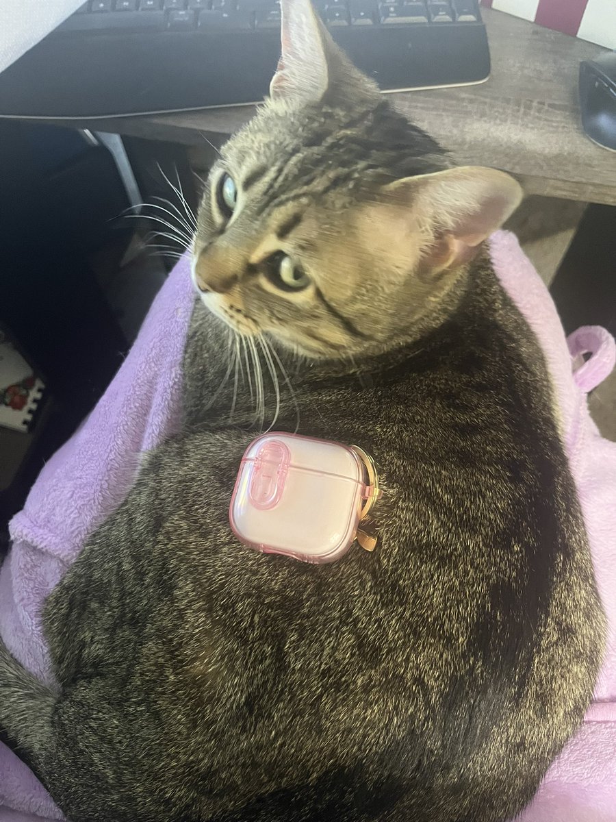 Cancrine Bibliophile tweet media