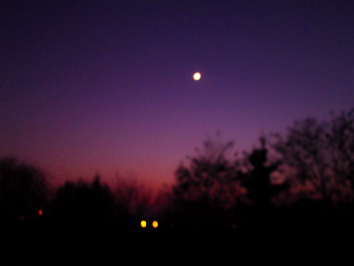 امينة tweet media