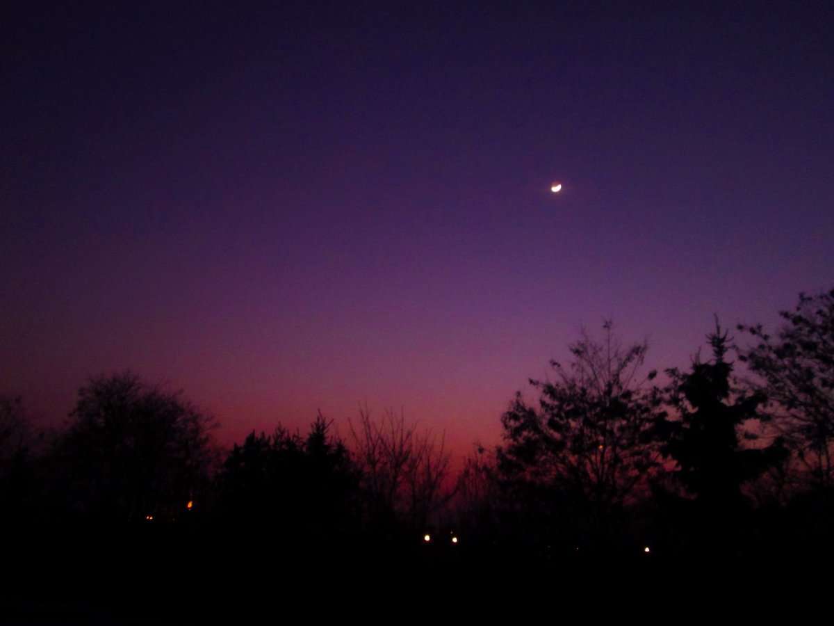 امينة tweet media