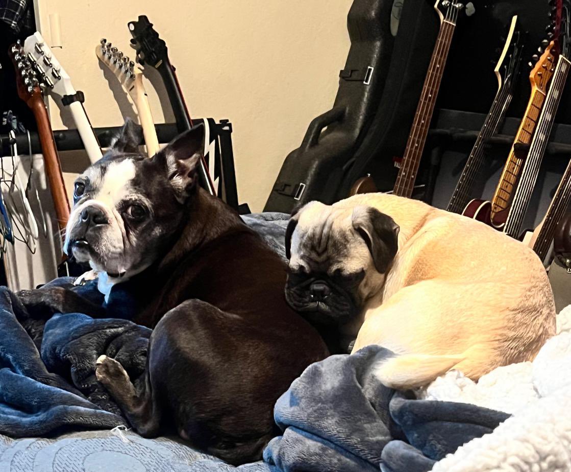 🇨🇦𖤐 Father Red McGee 𖤐 🇨🇦 tweet media