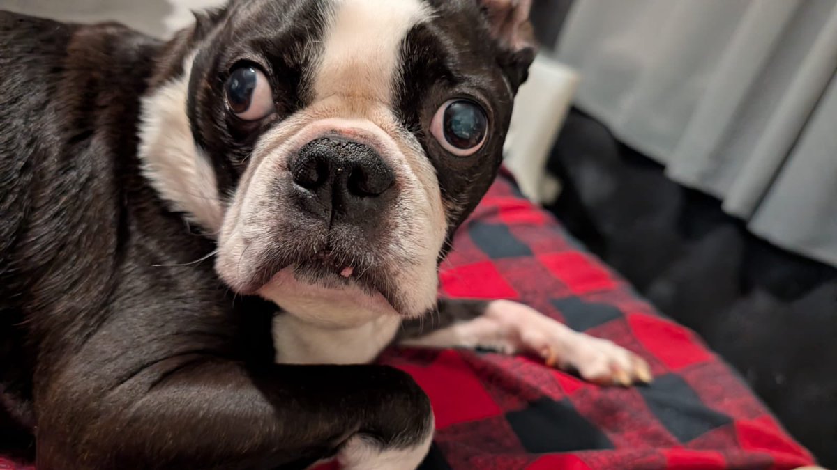 🇨🇦𖤐 Father Red McGee 𖤐 🇨🇦 tweet media