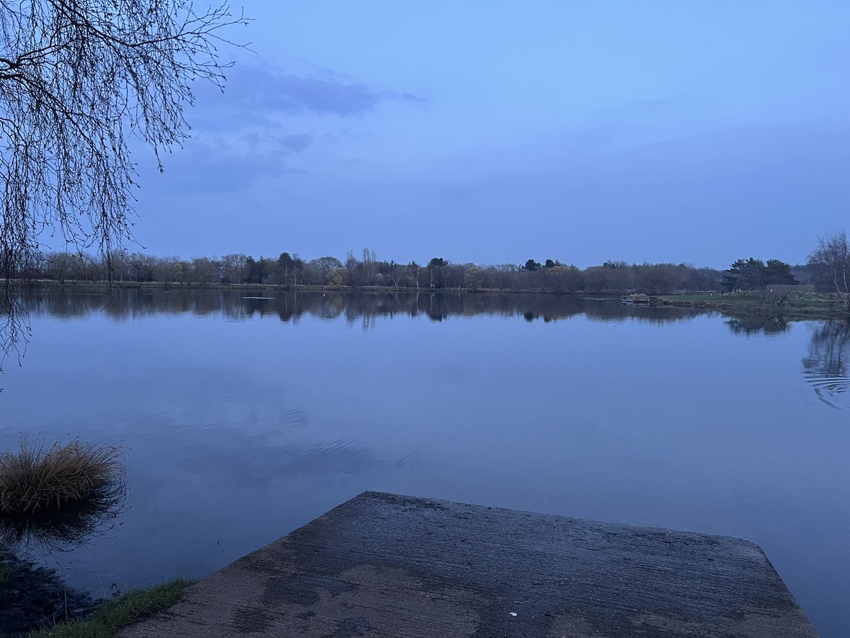 Tim Bonner tweet media