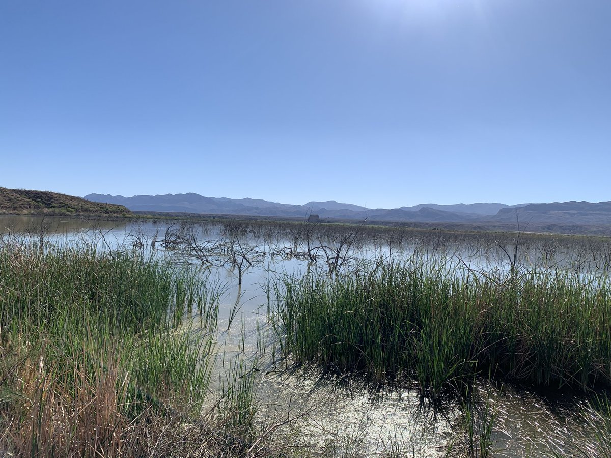 devillechris's tweet photo. The Candelaria wetlands, a stunning oasis in the desert. In June 2026, Trump will start building a 30ft steel wall from El Paso to the Big Bend parks (150 miles) right through this wetland. There will be NO environmental review (Trump eliminated 28 environmental regulations) https://t.co/VU1fnOy1q6