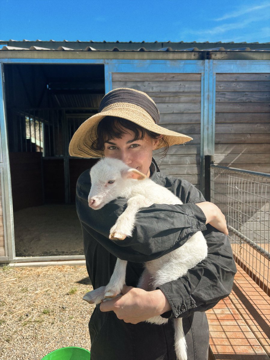 Olive Glass 🦢 tweet media