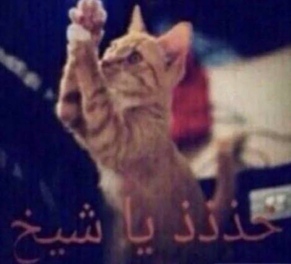 ∆ || 🇸🇦 زايد tweet media