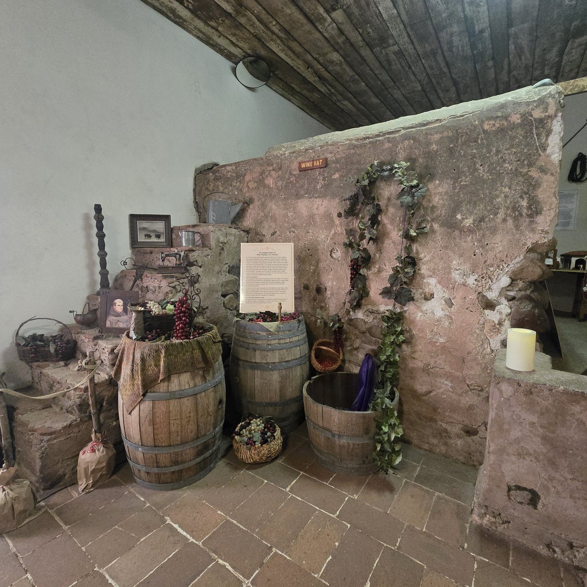 🐝 Carol Walsh ^Monterey Bay^ tweet media