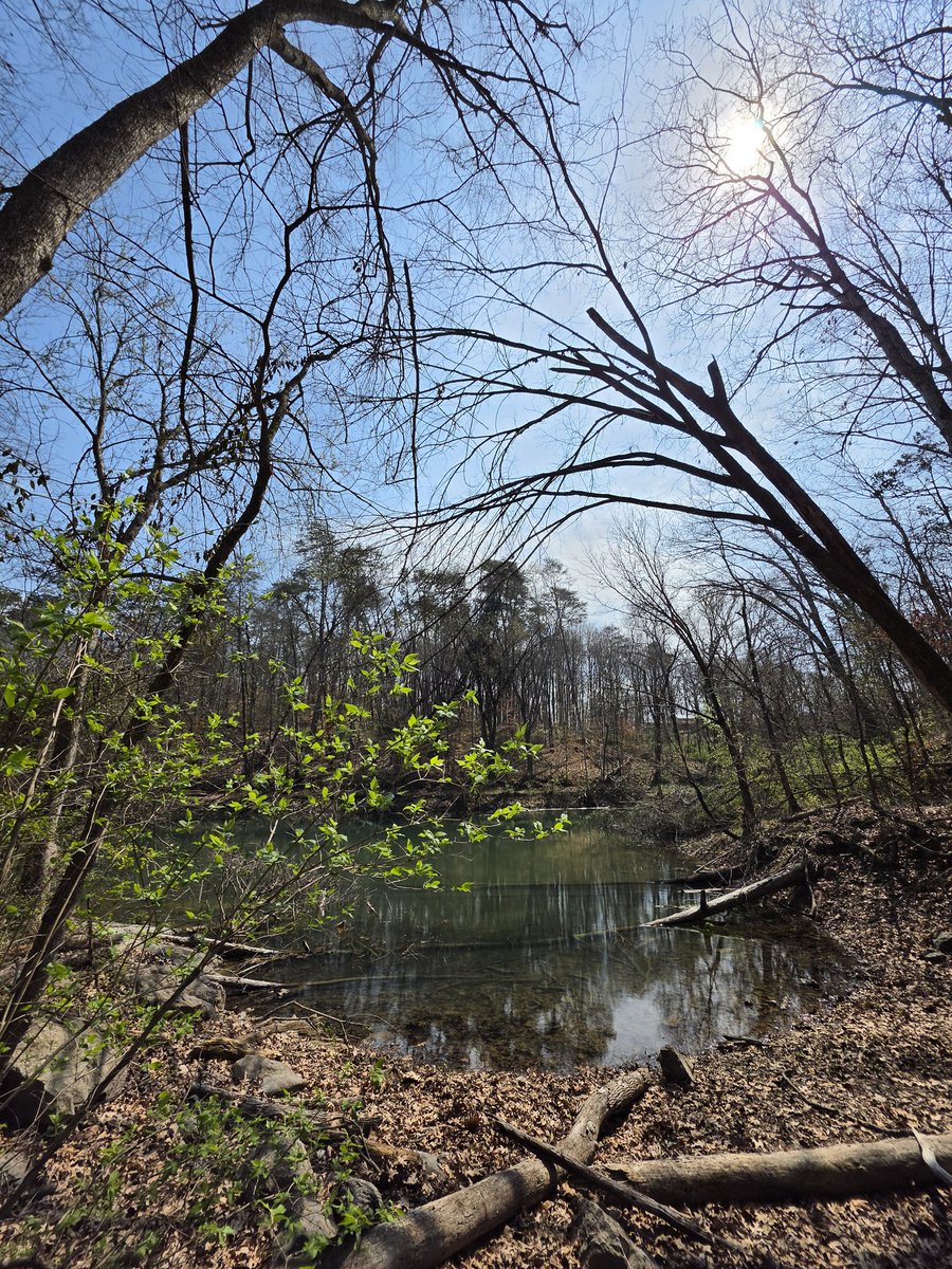 MyMindBreaks tweet media