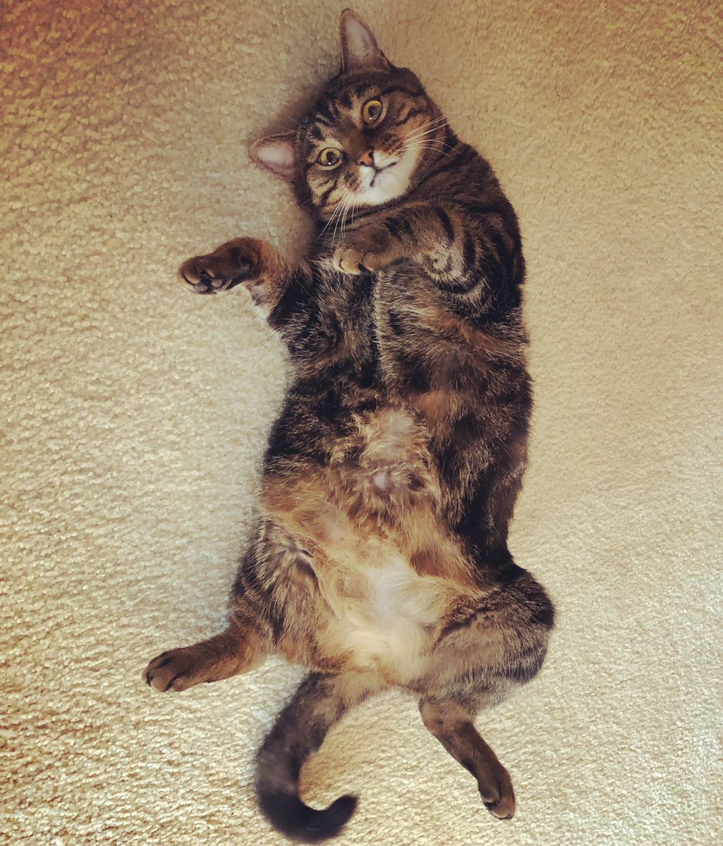 Jane Roser tweet media