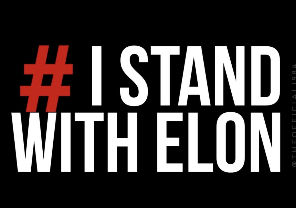 Sir Knight tweet media