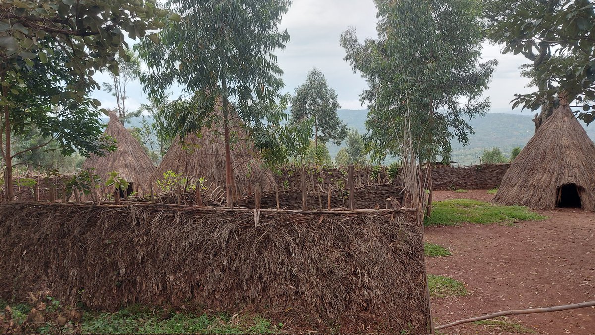 NiyonkuruLongin's tweet photo. Comne Muramvya, Zon Mbuye,  collne Teka, site touristique: Eclos (Ikigabiro)de Mwezi Gisabo. Des maisonettes à style traditionnel et à rôles differents, selon les besoins de la famille Royale. Endroit à bien aménager, immortaliser et classer au patrimoine historique du #Burundi https://t.co/jd5xs34h6v