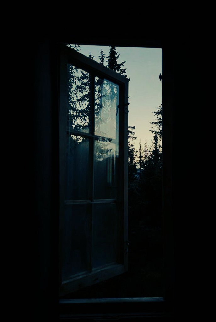 M̶ᴀʀᴄᴏᴡᴀ tweet media