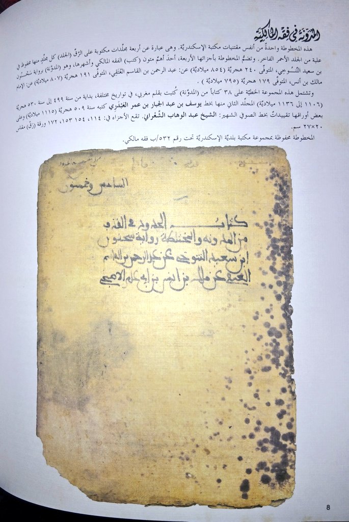 محمد على ابو حمزة tweet media