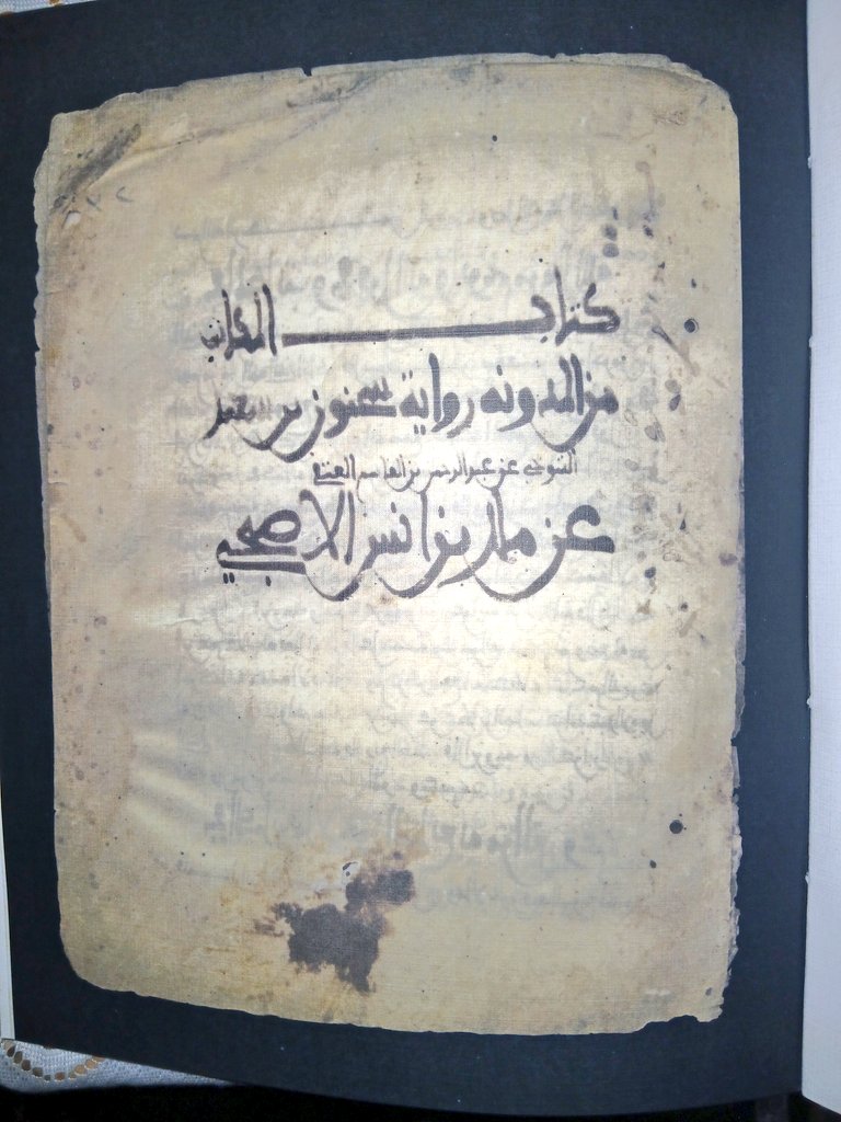 محمد على ابو حمزة tweet media