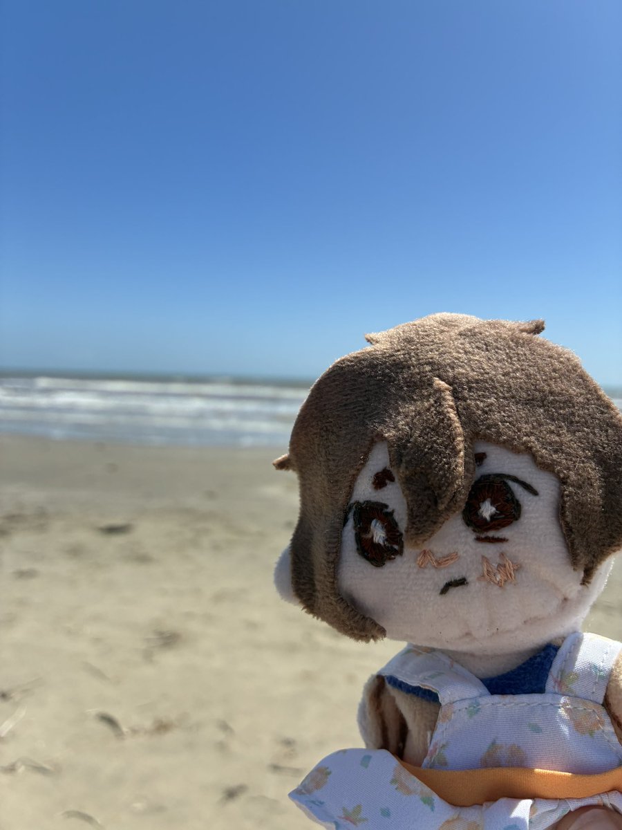 Zeebug 🐛 chibi comms open! tweet media