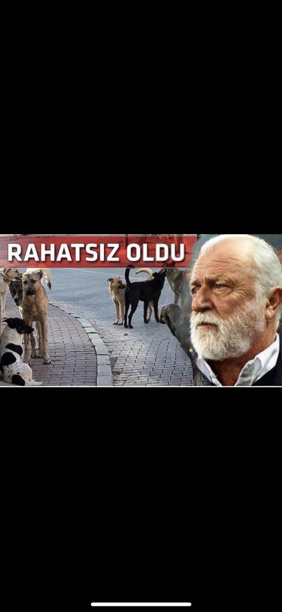 ZokanBuruk 🇳🇬 tweet media