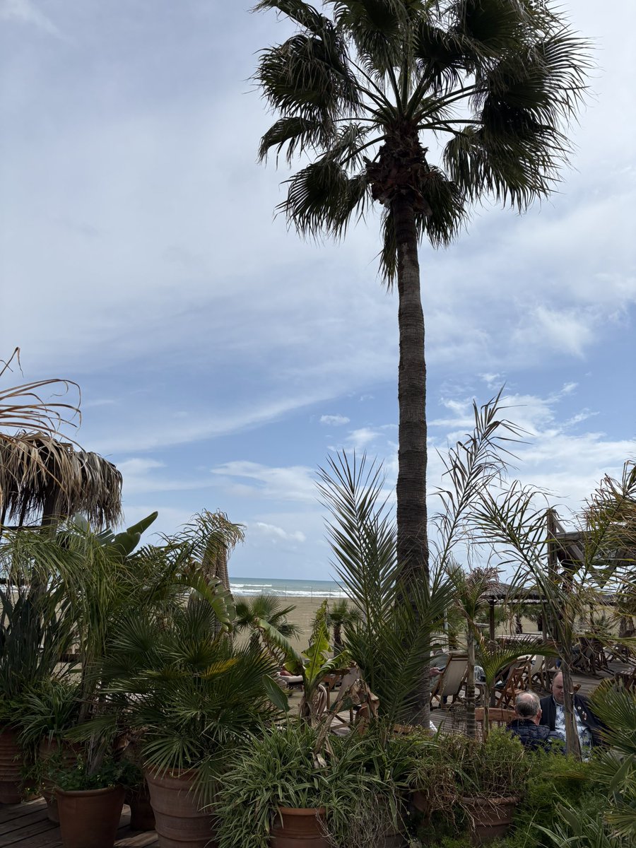 Aaron Porter tweet media