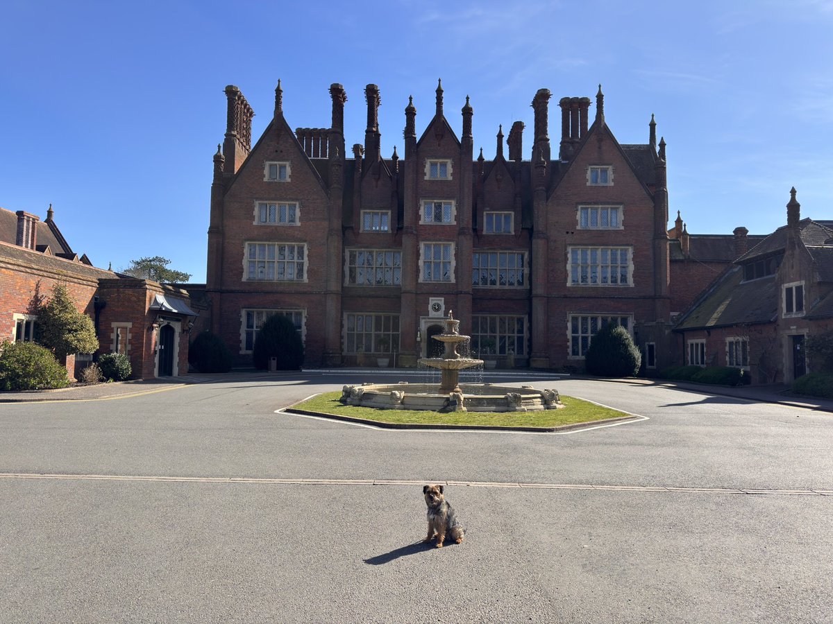 Sir Boots BT - bro to Sir Seb🌈💕 tweet media