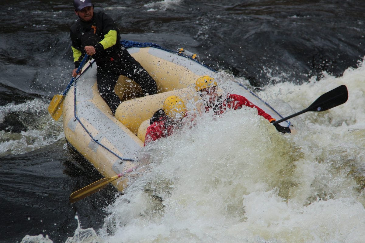 Drew Scott tweet media