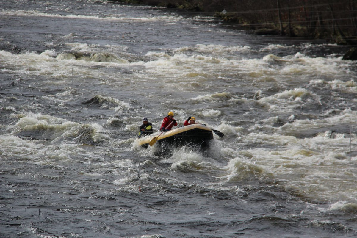 Drew Scott tweet media