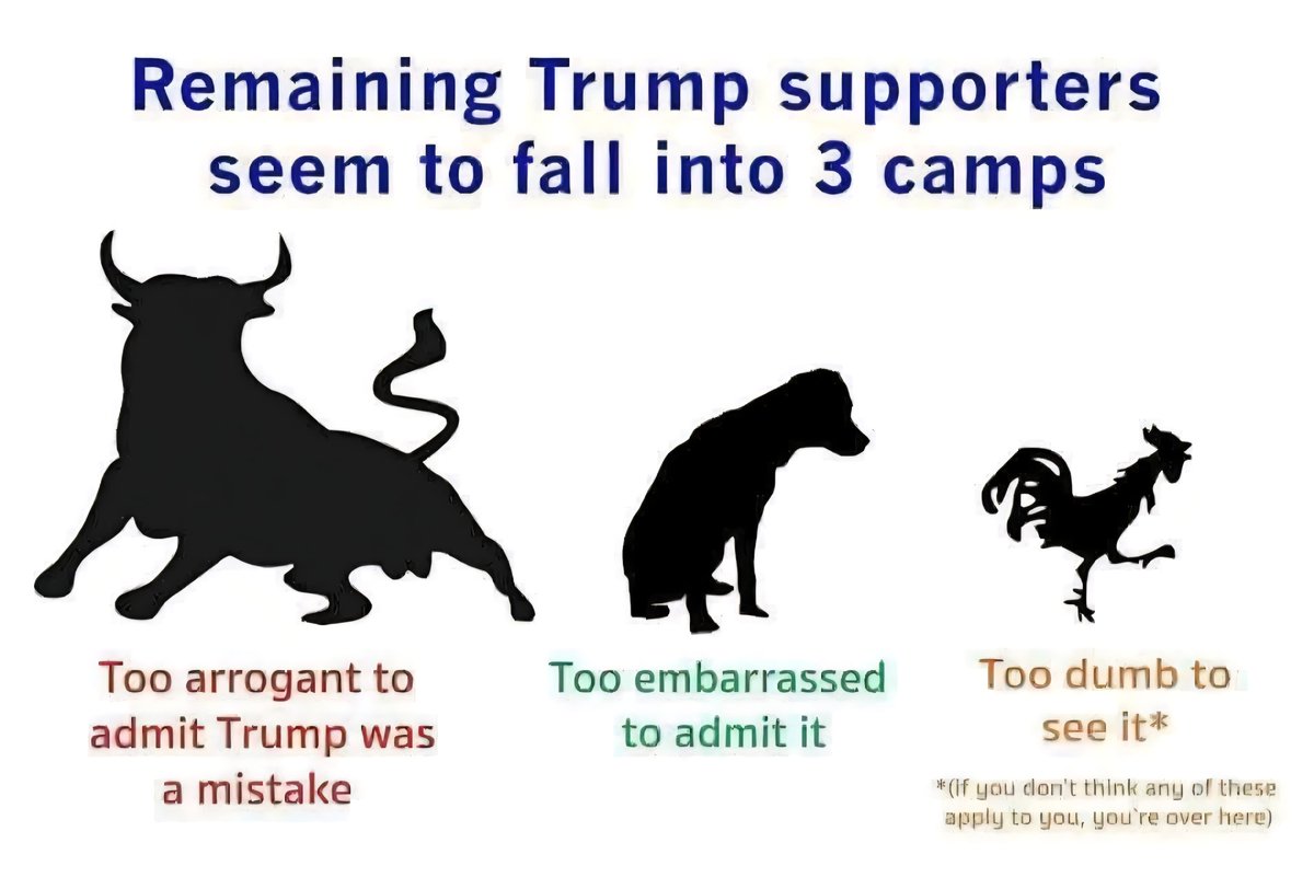 Alma Simakowicz tweet media