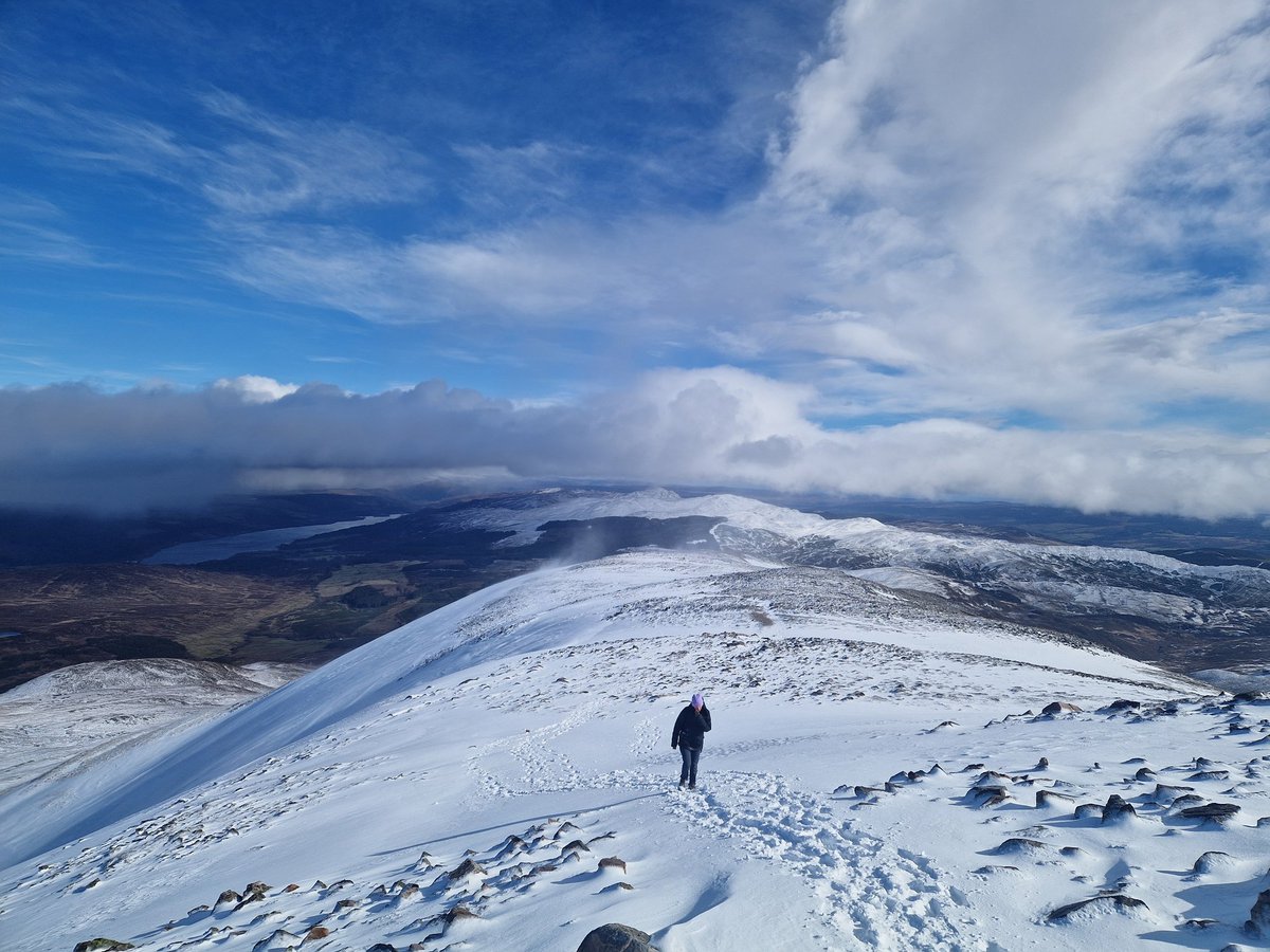 Drew Scott tweet media