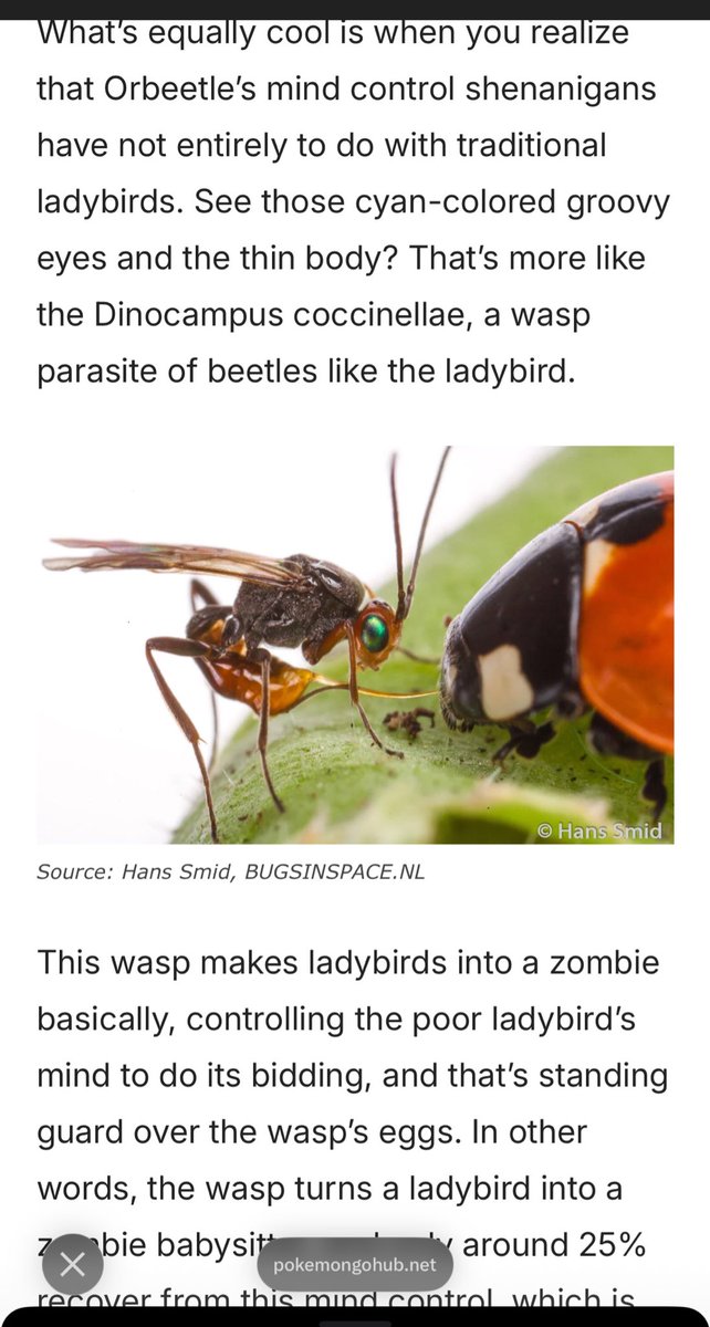 SoulSilverArt tweet media