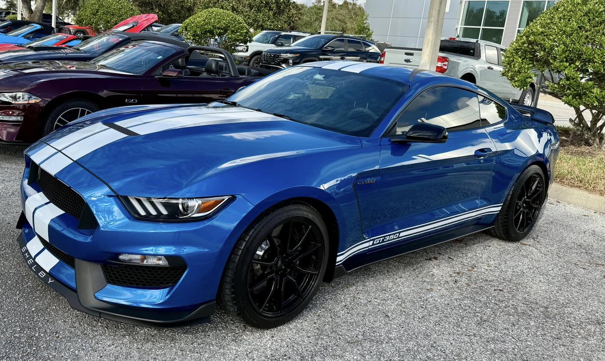 Mike Wisgarda tweet media