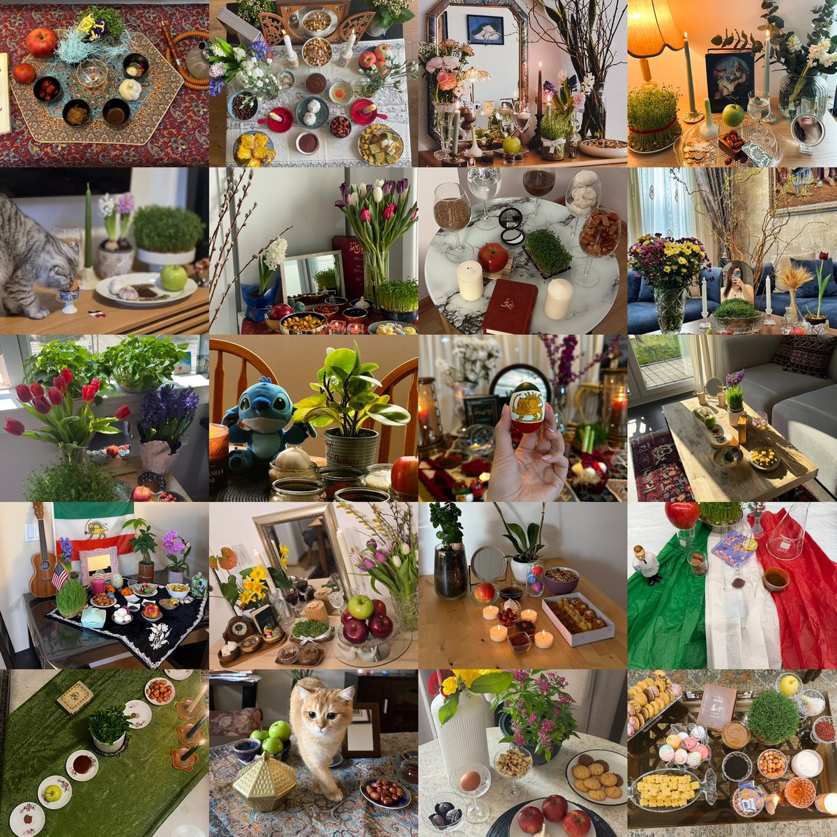 کیم وکسلر tweet media