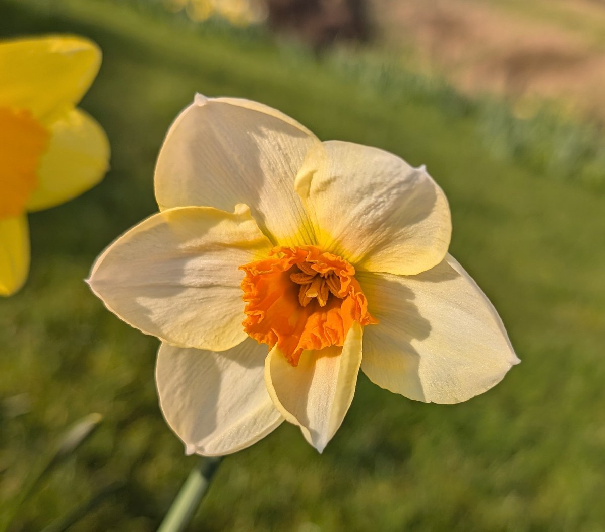 Paul Crabtree 🇬🇧 tweet media