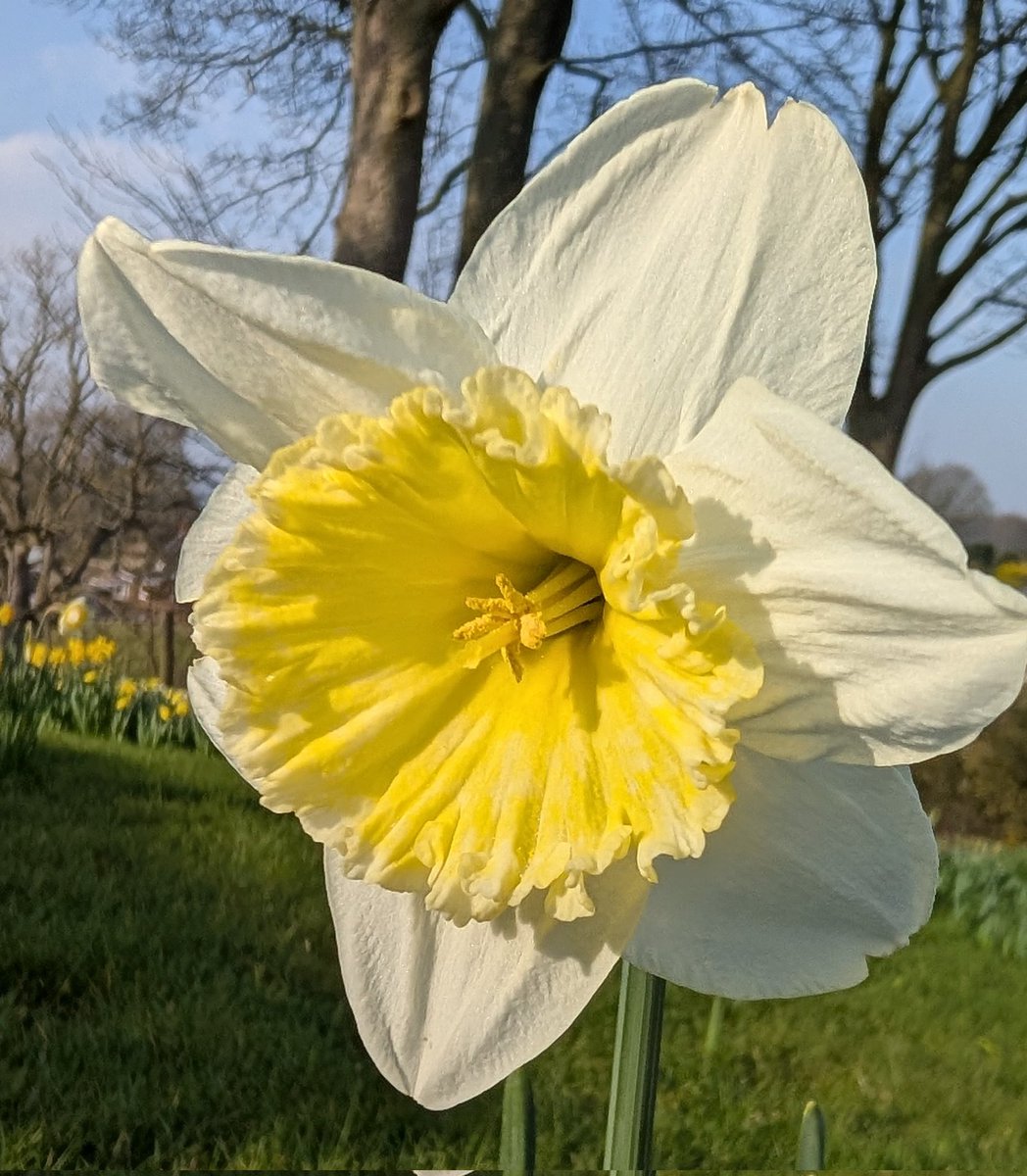 Paul Crabtree 🇬🇧 tweet media